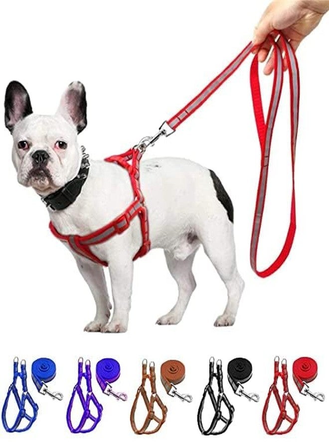 RoverPets طقم سرج ومقود عاكس للضوء من روفر بيتس بيت مقاس 15 مم | طقم سرج ومقود قابل للتعديل من النايلون الناعم والراديوم للكلاب الصغيرة | معدات مشي مريحة وآمنة للحيوانات الأليفة (أخضر) - Image 1